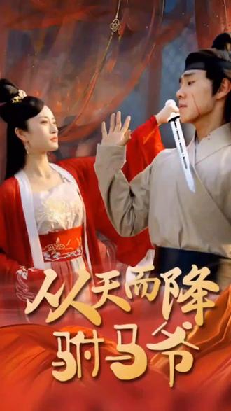 从天而降驸马爷1-20集
