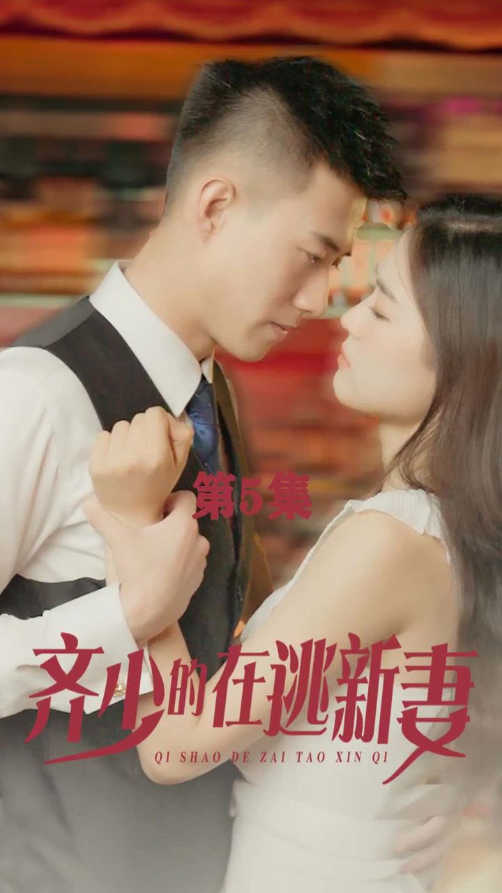 齐少的在逃新妻1-20集