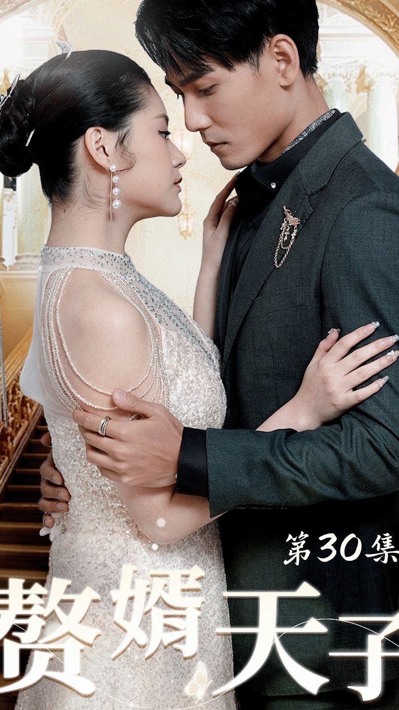 赘婿天子第81集