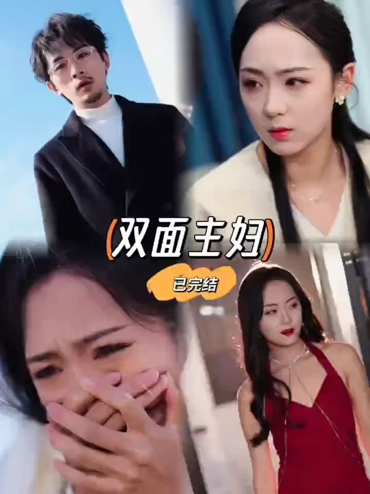 双面主妇全集(大结局)