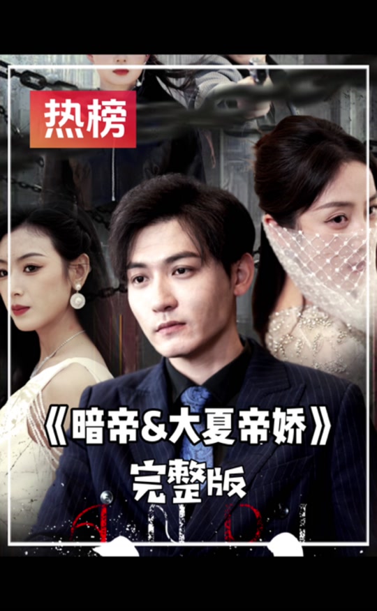 暗帝大夏帝骄全集 (下)