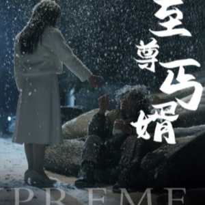 至尊丐婿全集(大结局)