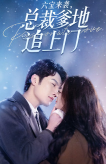 六宝来袭总裁爹地追上门全集(大结局)