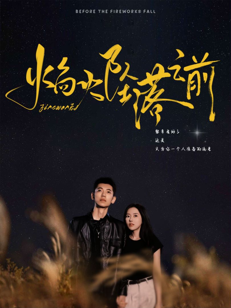 焰火坠落之前全集(大结局)