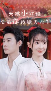 天赐小红娘总裁你找错夫人了全集(大结局)