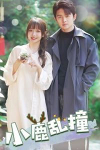 小鹿乱撞全集(大结局)