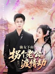 仙女下山拐个老公渡情劫(全集)