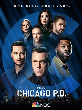 芝加哥警署第九季第2集
