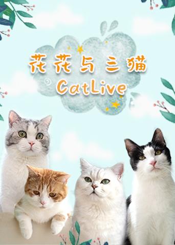 花花与三猫catlive20190816期